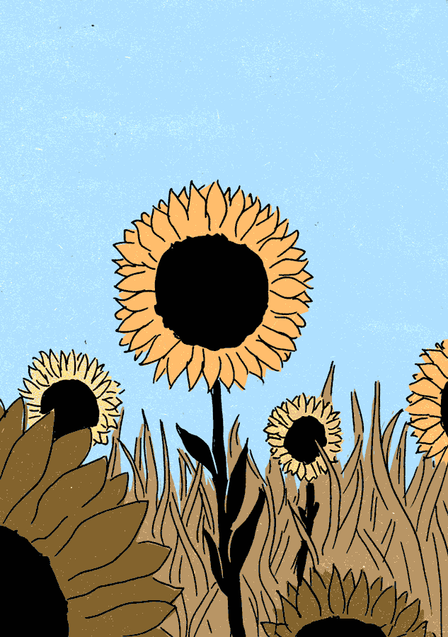Sunflowers turning into a white circle over a dark background, and morph to sunflowers in what appears like a (wanna be (infinite)) loop.